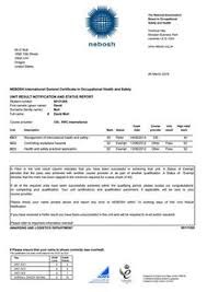 büste von johann wolfgang von goethe