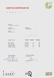 c1 goethe institut test mpdel