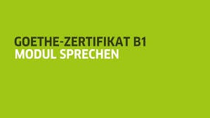 almanca a1 goethe material